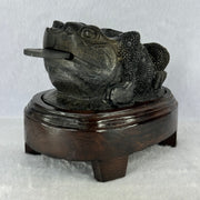 Rare Natural Tibetan Meteorite Tektite 3 Legged Toad with Wooden Stand Display 2,345.1g 170.0 by 118.0 by 125.0mm - Huangs Jadeite and Jewelry Pte Ltd