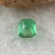 Natural Colombia Vivid Green Emerald (Beryl) Cut-Cornered Rectangle Step cut 0.46ct 4.8 by 4.2 by 3.0mm - Huangs Jadeite and Jewelry Pte Ltd