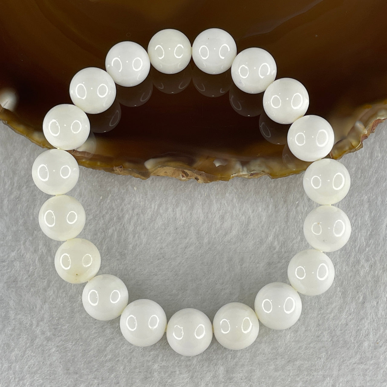 Natural Tridacna Sea Shell Beads Bracelet 33.61g 16.5cm 10.6mm 19 Beads