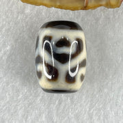 Natural Powerful Tibetan Old Oily Agate 6 Hearts Tortoise Shell Dzi Bead Heavenly Master (Tian Zhu) 六心龟壳天珠 4.95g 18.1 by 12.9mm - Huangs Jadeite and Jewelry Pte Ltd