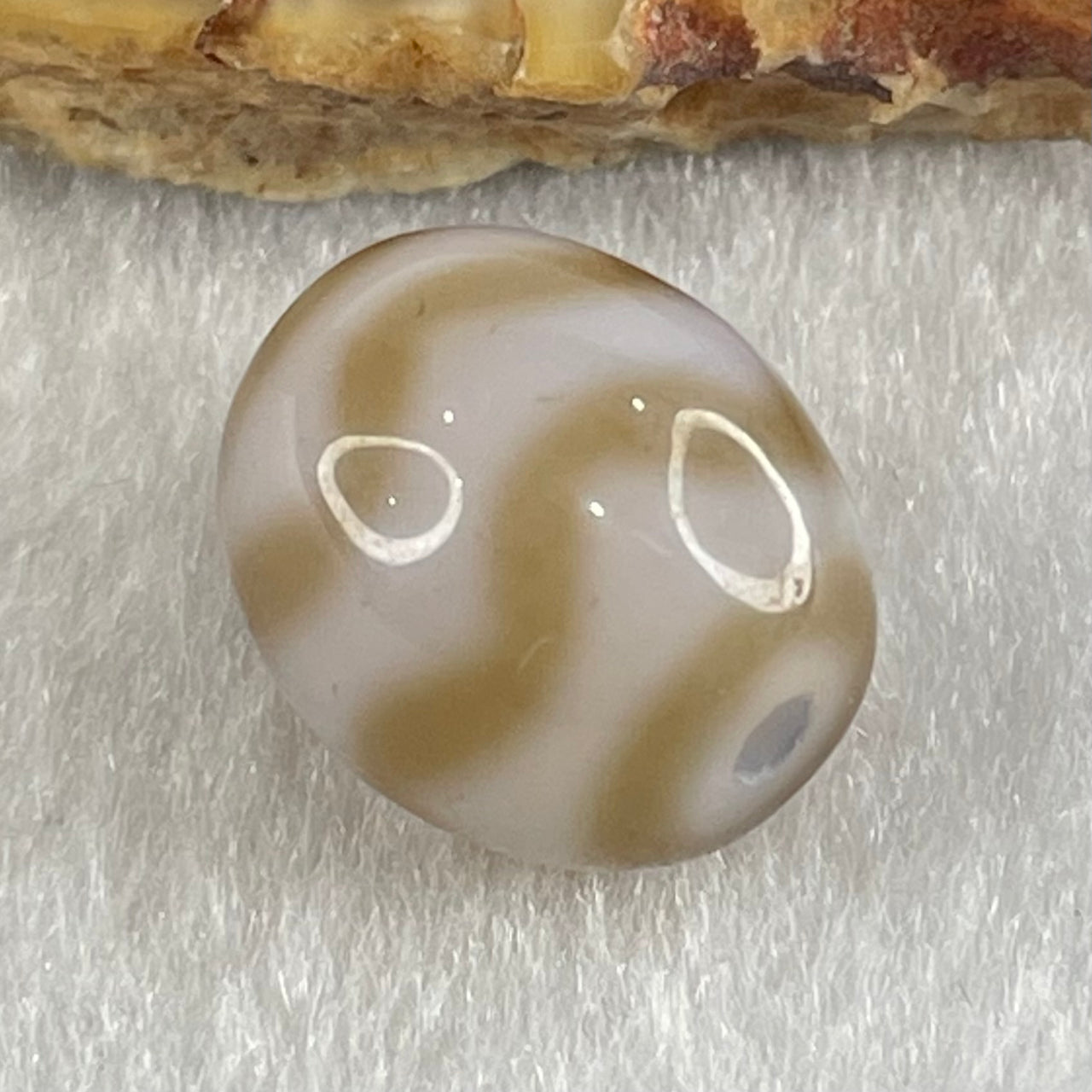 Natural Powerful Tibetan Old Oily Agate Double Tiger Tooth Daluo Dzi Bead Heavenly Master (Tian Zhu) 虎呀天诛 2.82g 13.7 by 12.1mm - Huangs Jadeite and Jewelry Pte Ltd