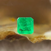 Natural Colombia Green Emerald (Beryl) Cut-Cornered Rectangular step cut 0.70cts 5.5 by 4.7 by 4.0mm - Huangs Jadeite and Jewelry Pte Ltd