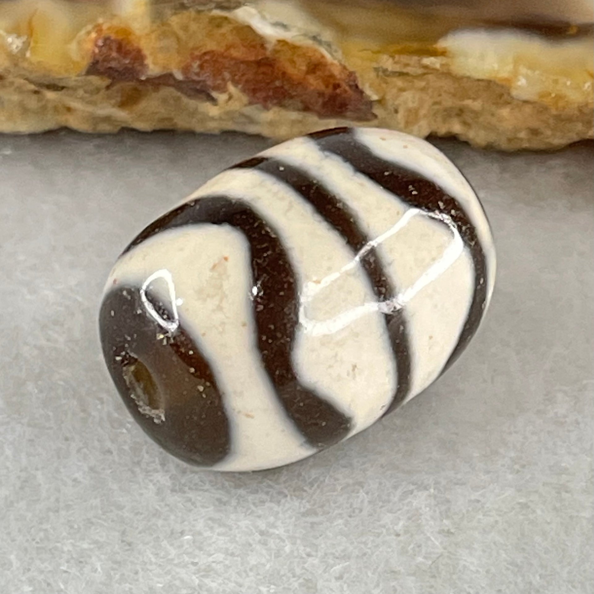 Natural Powerful Tibetan Old Oily Agate Double Tiger Tooth Daluo Dzi Bead Heavenly Master (Tian Zhu) 虎呀天诛 4.39g 17.6 by 12.9mm - Huangs Jadeite and Jewelry Pte Ltd