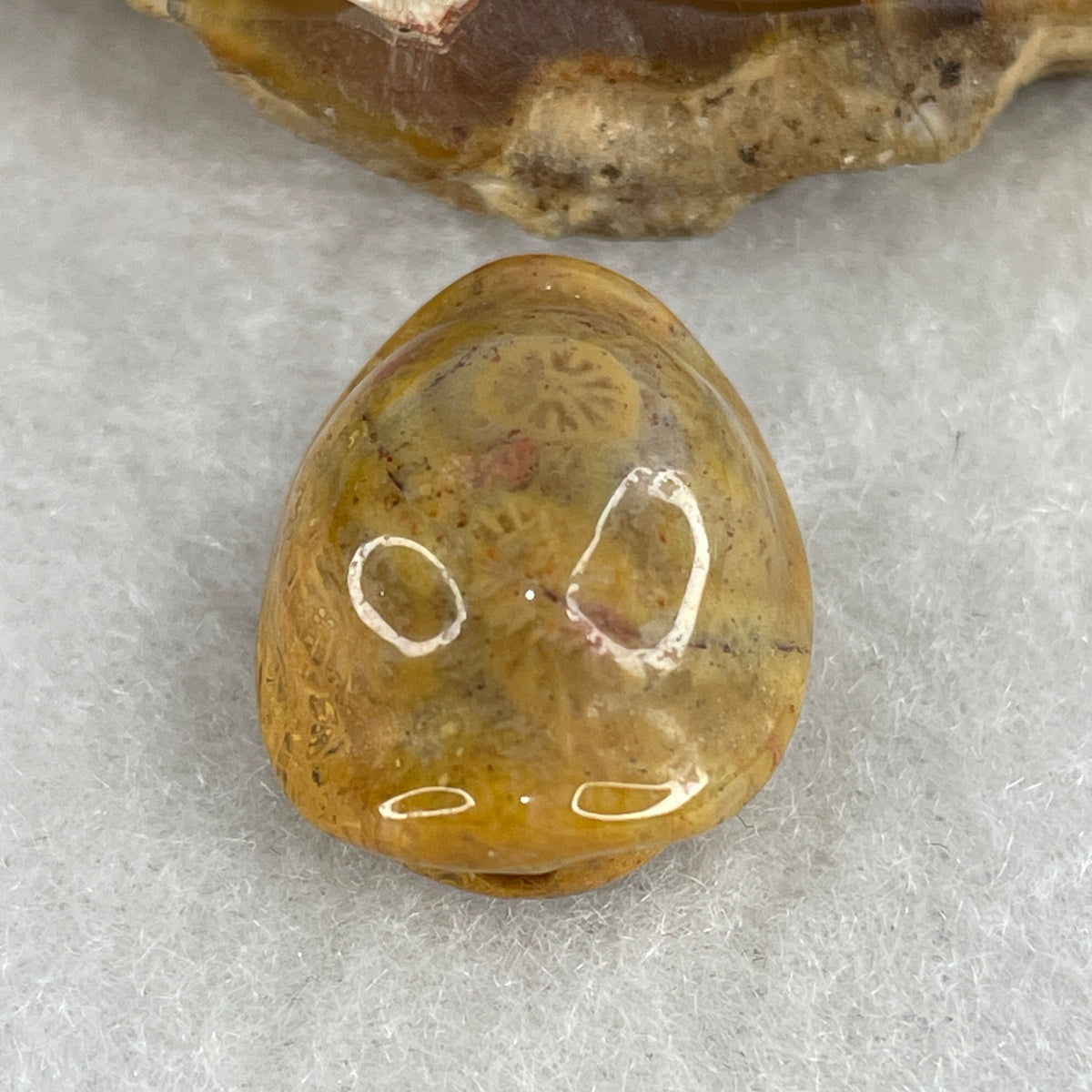 Natural Agatized Fossil Coral Turtle Shell Charm Pendant | Carved Longevity & Protection Talisman (3.93g | 19.7 x 15.1 x 10.8mm)