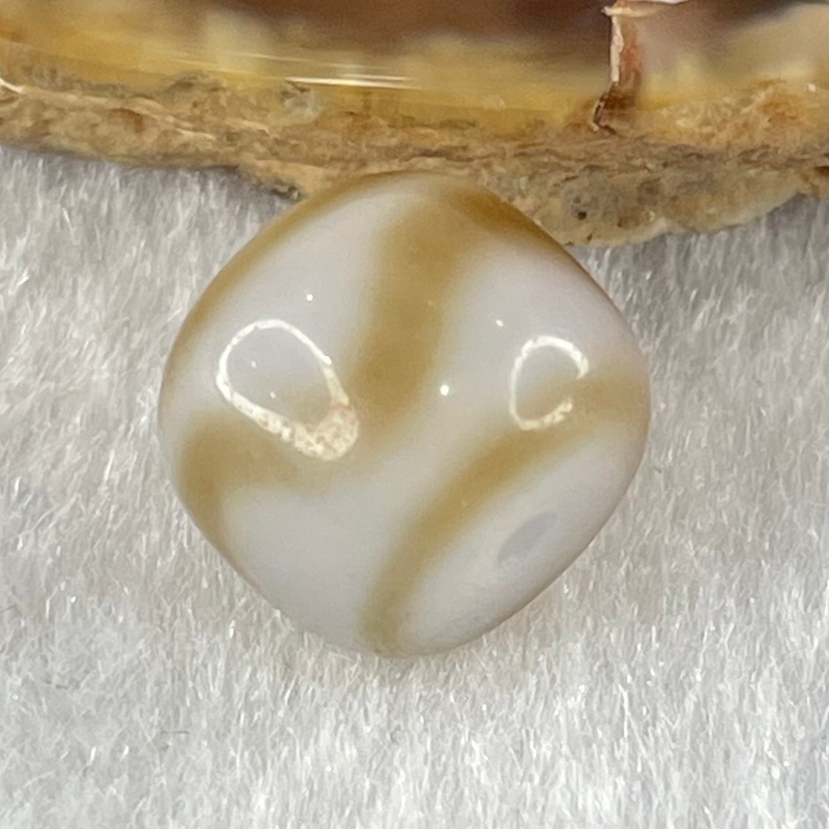Natural Powerful Tibetan Old Oily Agate Tiger Tooth Daluo Dzi Bead Heavenly Master (Tian Zhu) 2.01g 9.6 by 11.3mm - Huangs Jadeite and Jewelry Pte Ltd