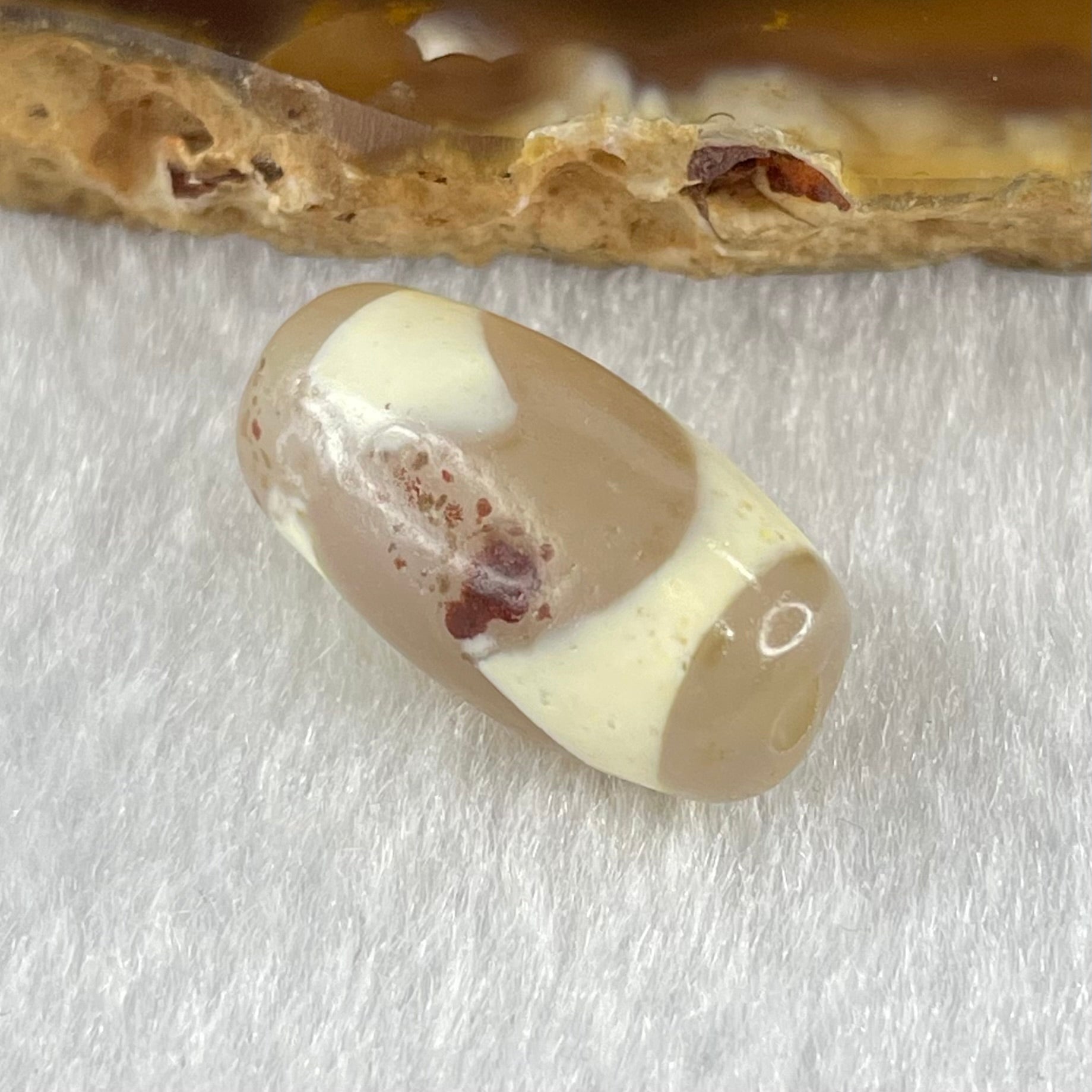 Natural Powerful Tibetan Old Oily Agate Tiger Tooth Daluo Dzi Bead Heavenly Master (Tian Zhu) 虎呀天诛 2.99g 19.7 by 10.2mm - Huangs Jadeite and Jewelry Pte Ltd