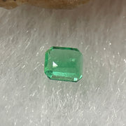 Natural Colombia Vivid Green Emerald (Beryl) Cut-Cornered Rectangular Step cut 0.08ct 2.7 by 2.0 by 1.8mm - Huangs Jadeite and Jewelry Pte Ltd