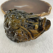 Natural Yellow Tiger's Eye Quartz 3 Legged Toad with Ancient Coin with Wooden Stand Display635.0g 128.1 by 90.7 by 92.5mm - Huangs Jadeite and Jewelry Pte Ltd