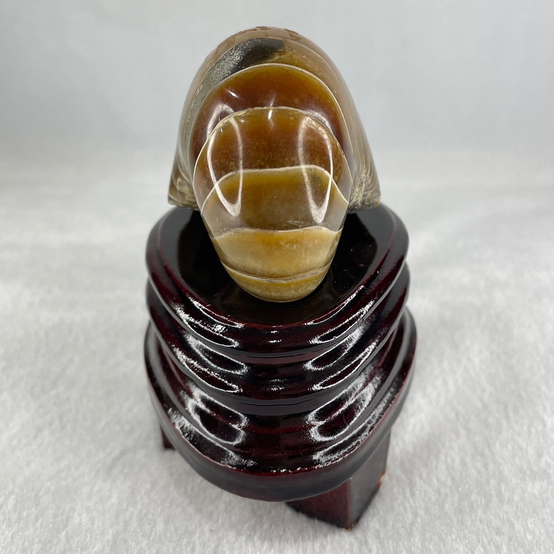 Natural Ammonite Ammonoid Fossil with Wooden Stand 331.4g 92.0 by 70.2 y 103.5mm - Huangs Jadeite and Jewelry Pte Ltd