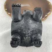 Rare Natural Tibetan Meteorite Tektite Dragon Turtle Display 392.0g 91.0 by 65.4 by 66.5mm - Huangs Jadeite and Jewelry Pte Ltd