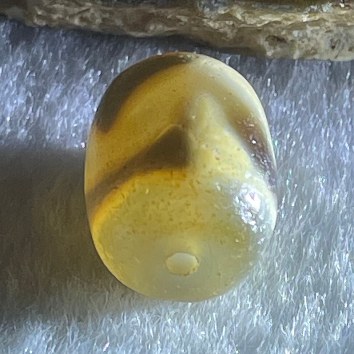 Natural Powerful Tibetan Old Oily Agate Tiger Tooth Daluo Dzi Bead Heavenly Master (Tian Zhu) 虎呀天诛 2.59g 13.4 by 11.0mm - Huangs Jadeite and Jewelry Pte Ltd