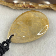 Natural Brown Coral Agate Pendant 19.88g 44.0 by 31.3 by 10.5mm - Huangs Jadeite and Jewelry Pte Ltd