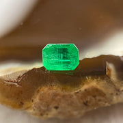 Natural Colombia Vivid Green Emerald (Beryl) Cut-Cornered Rectangular Step cut 0.41ct 4.8 by 3.7 by 3.0mm - Huangs Jadeite and Jewelry Pte Ltd
