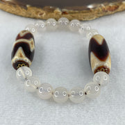 Natural Powerful Tibetan Old Oily Agate Tiger Tooth Daluo Dzi Bead Heavenly Master (Tian Zhu) with White Agate Beads Bracelet 24.84g 14cm 29.8 by 13.0mm Double Tiger Tooth - 29.5 by 12.3 Tiger Tooth - Huangs Jadeite and Jewelry Pte Ltd