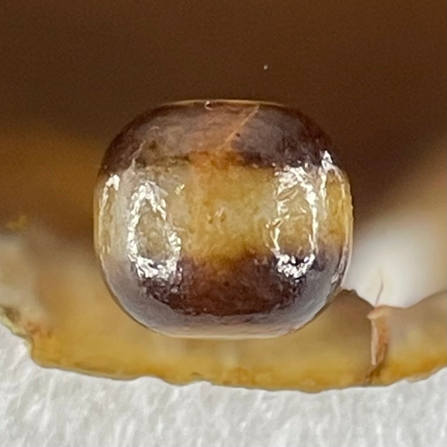 Natural Powerful Tibetan Old Oily Agate 1 Line Dzi Bead Heavenly Master (Tian Zhu) 1.93g 10.1 by 11.1mm - Huangs Jadeite and Jewelry Pte Ltd