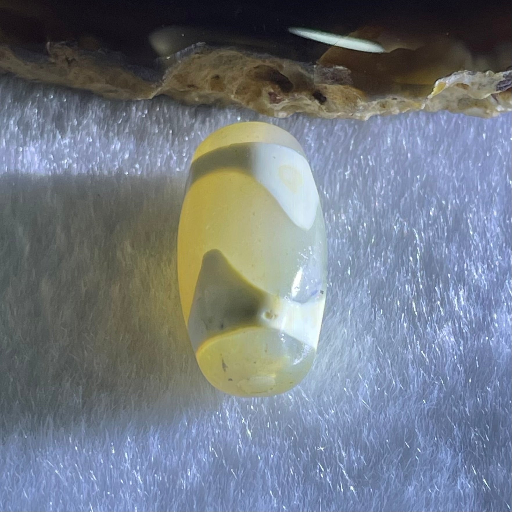 Natural Powerful Tibetan Old Oily Agate Tiger Tooth Daluo Dzi Bead Heavenly Master (Tian Zhu) 虎呀天诛 3.12g 19.8 by 10.4mm - Huangs Jadeite and Jewelry Pte Ltd