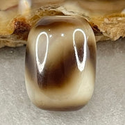 Natural Powerful Tibetan Old Oily Agate Tiger Tooth Daluo Dzi Bead Heavenly Master (Tian Zhu) 2.38g 13.7 by 10.4mm - Huangs Jadeite and Jewelry Pte Ltd