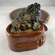 Natural Yellow Tiger's Eye Quartz 3 Legged Toad with Ancient Coin with Wooden Stand Display 412.4g 108.5 by 83.0 by 94.5mm - Huangs Jadeite and Jewelry Pte Ltd