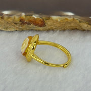 Natural Honey Yellow Amber with Milk Inclusions in S925 Sliver Gold Color Ring (Adjustable Size) 2.32g 9.7 by 9.0 by 4.0mm - Huangs Jadeite and Jewelry Pte Ltd