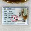 Type A Brown with Green Jadeite Scorpion on Leaf 13.93g 40.0 by 22.7 by 15.7mm - Huangs Jadeite and Jewelry Pte Ltd