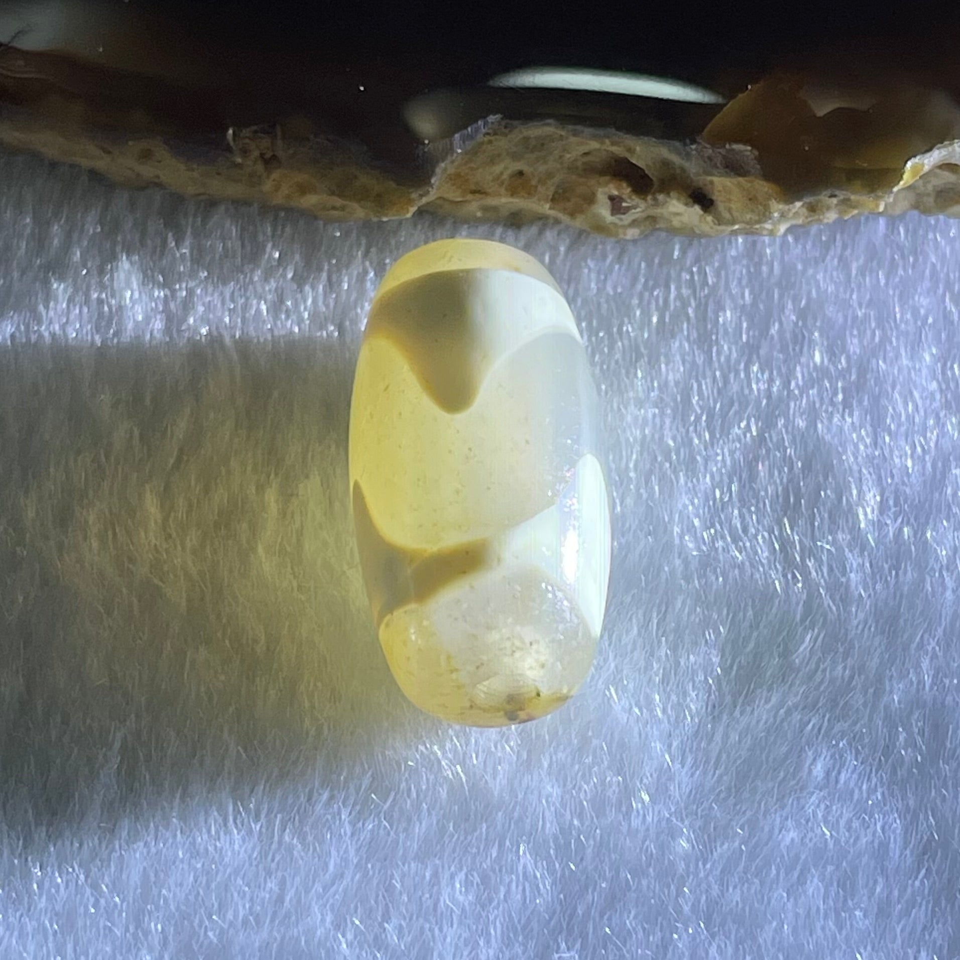 Natural Powerful Tibetan Old Oily Agate Tiger Tooth Daluo Dzi Bead Heavenly Master (Tian Zhu) 虎呀天诛 3.31g 20.1 by 10.8mm - Huangs Jadeite and Jewelry Pte Ltd