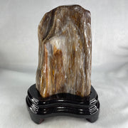 Natural Fossilised Petrified Wood Tower with Wooden Stand Display 1722.7g 185.0 by 146.2 by 110.0mm - Huangs Jadeite and Jewelry Pte Ltd