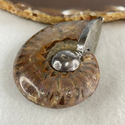 Natural Ammonite Fossil in Silver Pendant 61.42g 56.0 by 44.4 by 18.4mm - Huangs Jadeite and Jewelry Pte Ltd