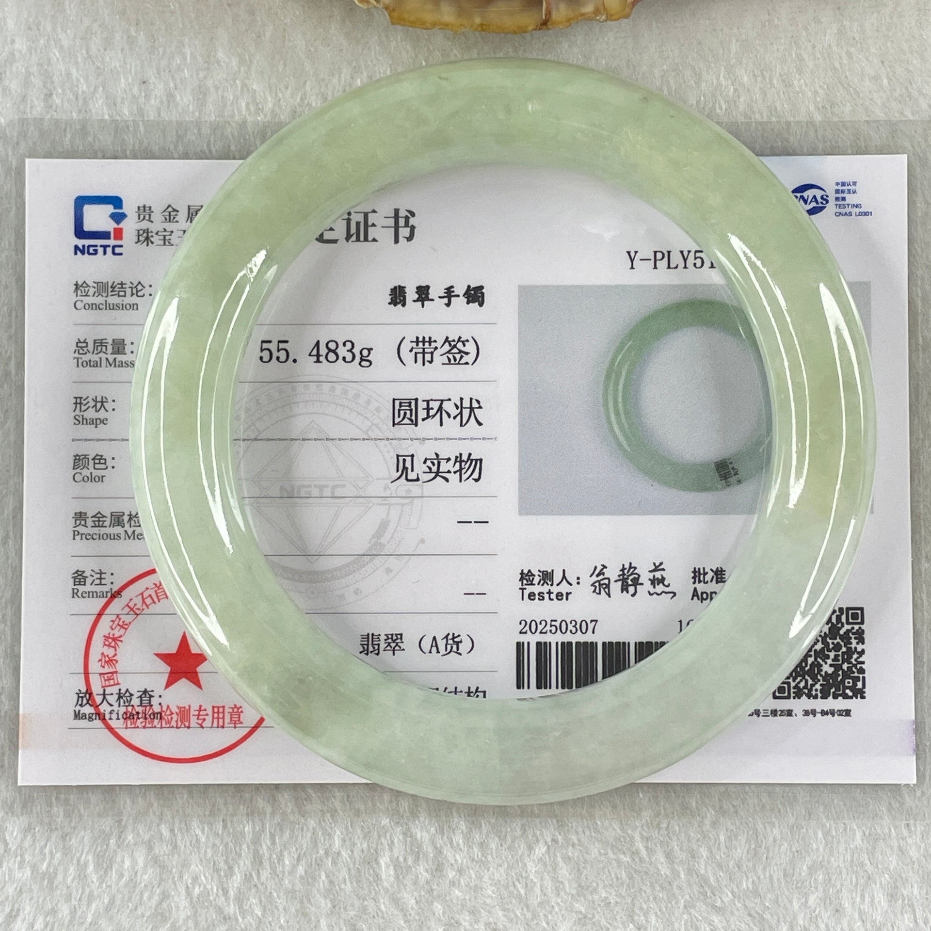 Type A Light Green Jadeite Bangle Internal Diameter 53.2mm 55.483g 10.1 by 10.4mm (Close to Perfect) - Huangs Jadeite and Jewelry Pte Ltd