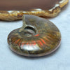 Natural Ammolite Fossil Display 61.89g 59.5 by 49.0 by 17.5mm - Huangs Jadeite and Jewelry Pte Ltd