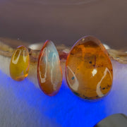 Natural Amber for Setting (Set of 3) 3.44g 30.8 by 21.3 by 8.6mm 1.08g 25.4 by 11.4 by 6.7mm 0.56g 17.2 by 9.2 by 5.9mm - Huangs Jadeite and Jewelry Pte Ltd