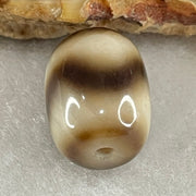 Natural Powerful Tibetan Old Oily Agate Tiger Tooth Daluo Dzi Bead Heavenly Master (Tian Zhu) 2.43g 13.7 by 10.6mm - Huangs Jadeite and Jewelry Pte Ltd