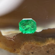 Natural Colombia Vivid Green Emerald (Beryl) Cut-Cornered Square Step cut 0.41ct 4.1 by 4.1 by 3.6mm - Huangs Jadeite and Jewelry Pte Ltd