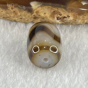 Natural Powerful Tibetan Old Oily Dark and Light Brown Agate Tiger Tooth Daluo Dzi Bead Heavenly Master (Tian Zhu) 2.84g 13.6 by 11.0mm - Huangs Jadeite and Jewelry Pte Ltd