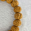 Natural Bodhi Rudraksha Seed Mala 金风 Beads Bracelet 16.37g 12.7 mm 21 Beads - Huangs Jadeite and Jewelry Pte Ltd