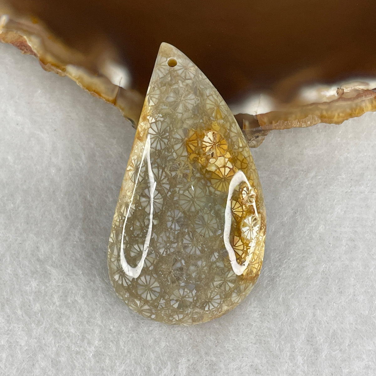 Natural Agatized Fossil Coral Teardrop Pendant | Ancient Botanical Star Pattern Fossil Gemstone (17.38g | 48.9 x 26.8 x 9.6mm)
