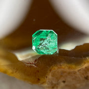 Natural Colombia Vivid Green Emerald (Beryl) Cut-Cornered Square Step cut 0.41ct 4.5 by 4.3 by 3.2mm - Huangs Jadeite and Jewelry Pte Ltd