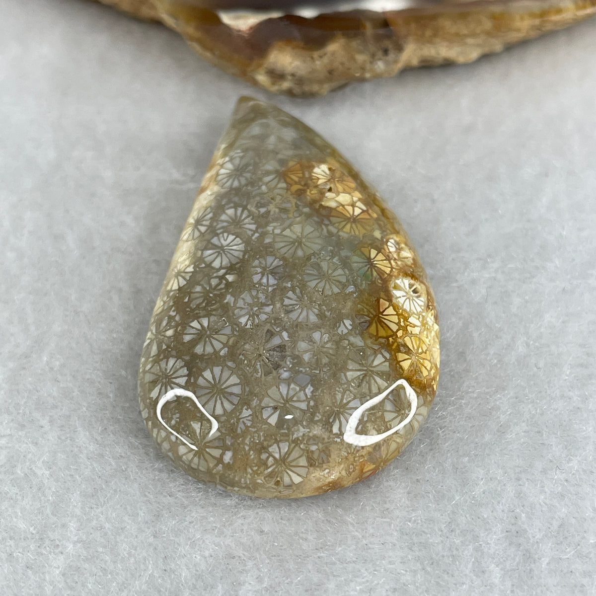 Natural Agatized Fossil Coral Teardrop Pendant | Ancient Botanical Star Pattern Fossil Gemstone (17.38g | 48.9 x 26.8 x 9.6mm)