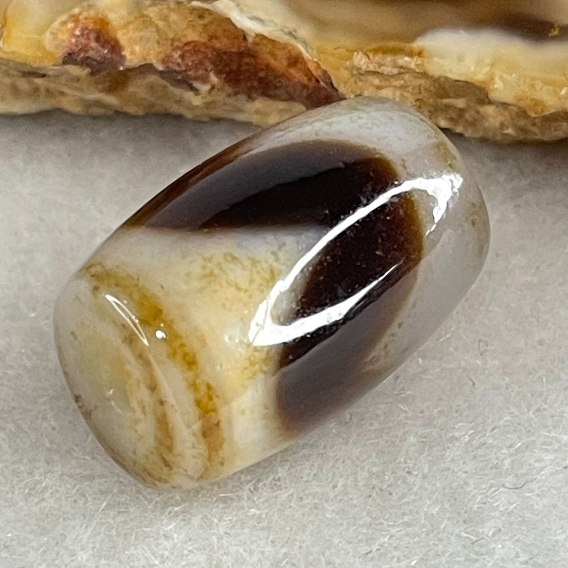 Natural Powerful Tibetan Old Oily Agate Tiger Tooth Daluo Dzi Bead Heavenly Master (Tian Zhu) 虎呀天诛 4.90g 18.7 by 12.4mm - Huangs Jadeite and Jewelry Pte Ltd
