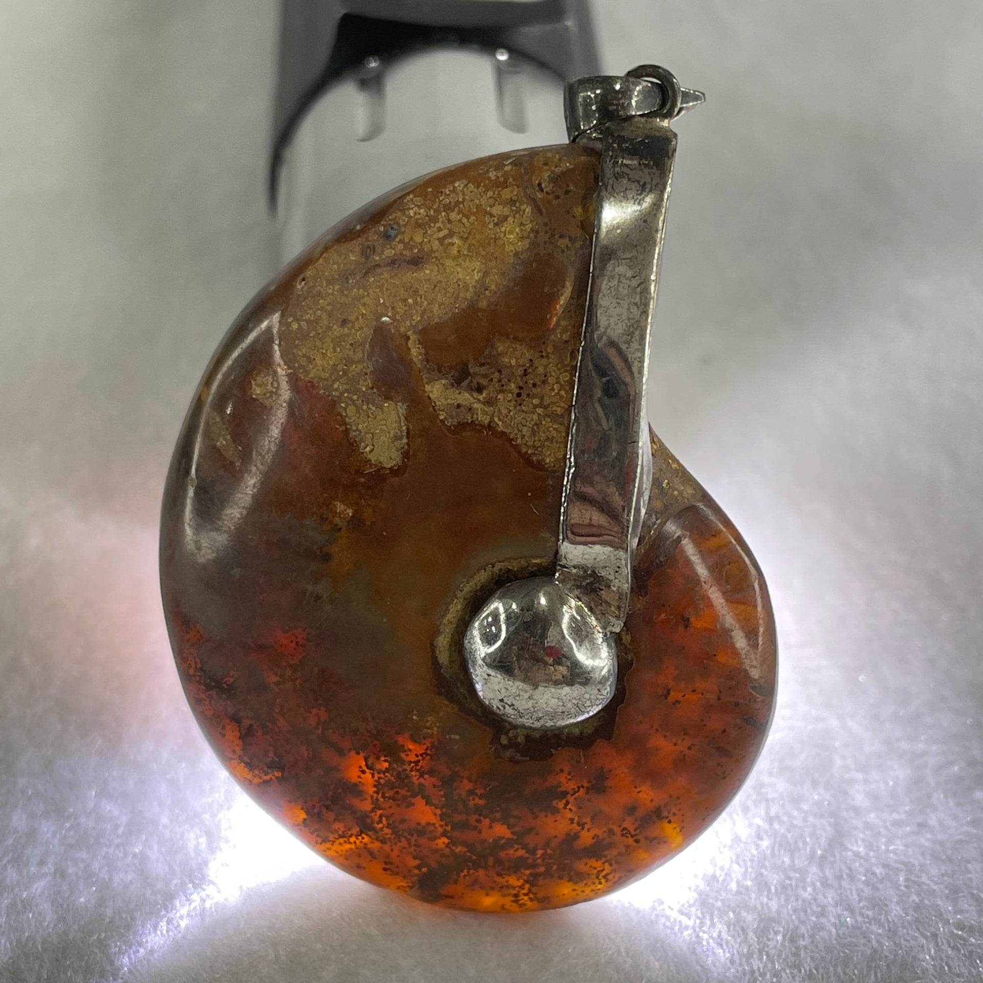 Natural Ammonite Fossil in Silver Pendant 32.29g 47.0 by 38.4 by 15.5mm - Huangs Jadeite and Jewelry Pte Ltd