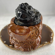 Natural Yellow Tiger's Eye Quartz 3 Legged Toad with Ancient Coin with Wooden Stand Display 412.4g 108.5 by 83.0 by 94.5mm - Huangs Jadeite and Jewelry Pte Ltd