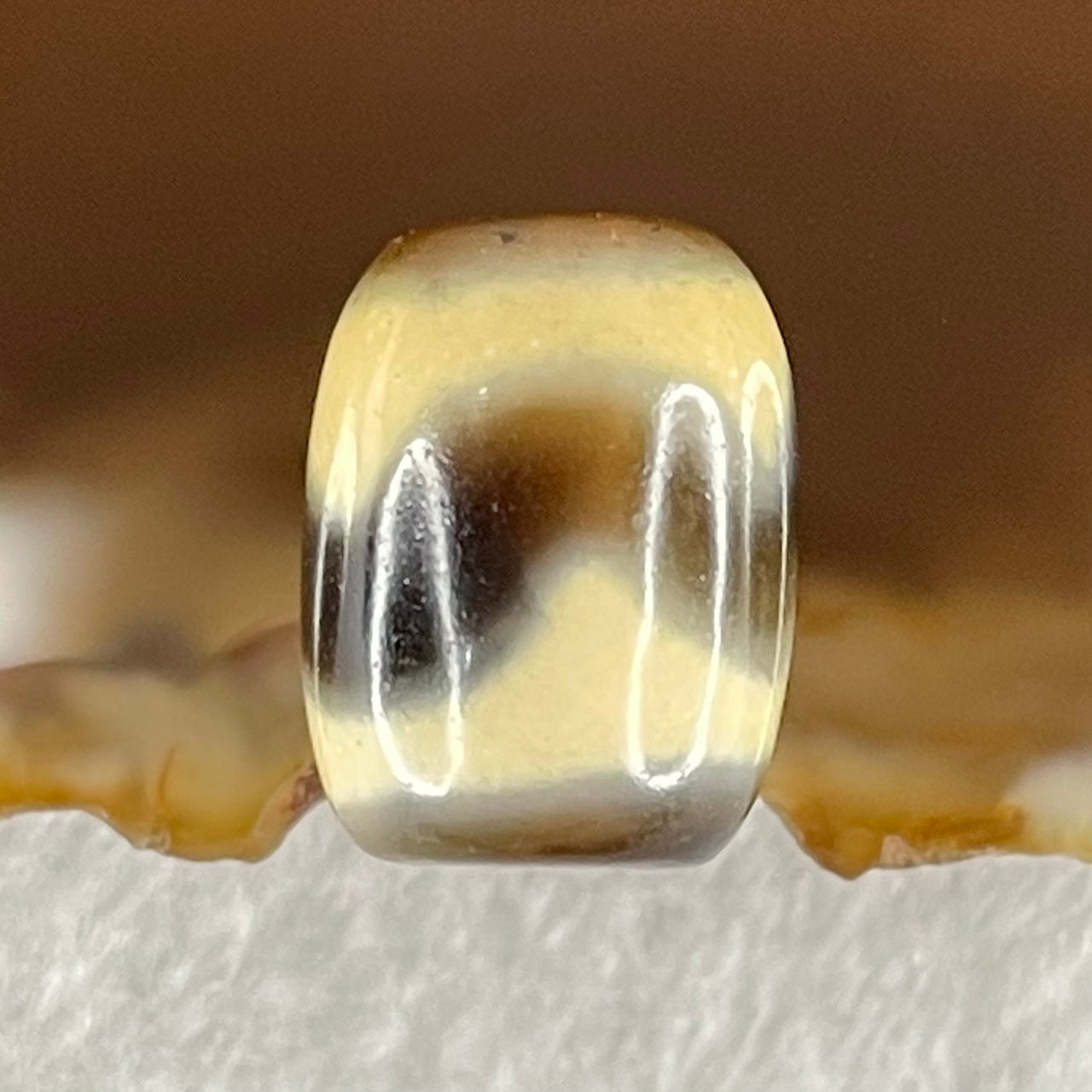 Natural Powerful Tibetan Old Oily Agate Tiger Tooth Daluo Dzi Bead Heavenly Master (Tian Zhu) 虎呀天诛 2.40g 13.5 by 10.3mm - Huangs Jadeite and Jewelry Pte Ltd