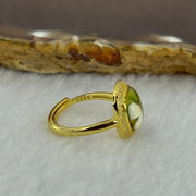 Natural Green Amber with Milk Inclusions in S925 Sliver Gold Color Ring (Adjustable Size) 2.26g 8.9 by by 2.5mm - Huangs Jadeite and Jewelry Pte Ltd