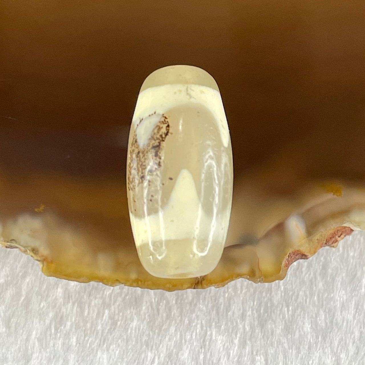 Natural Powerful Tibetan Old Oily Agate Tiger Tooth Daluo Dzi Bead Heavenly Master (Tian Zhu) 虎呀天诛 3.00g 20.1 by 10.1mm - Huangs Jadeite and Jewelry Pte Ltd