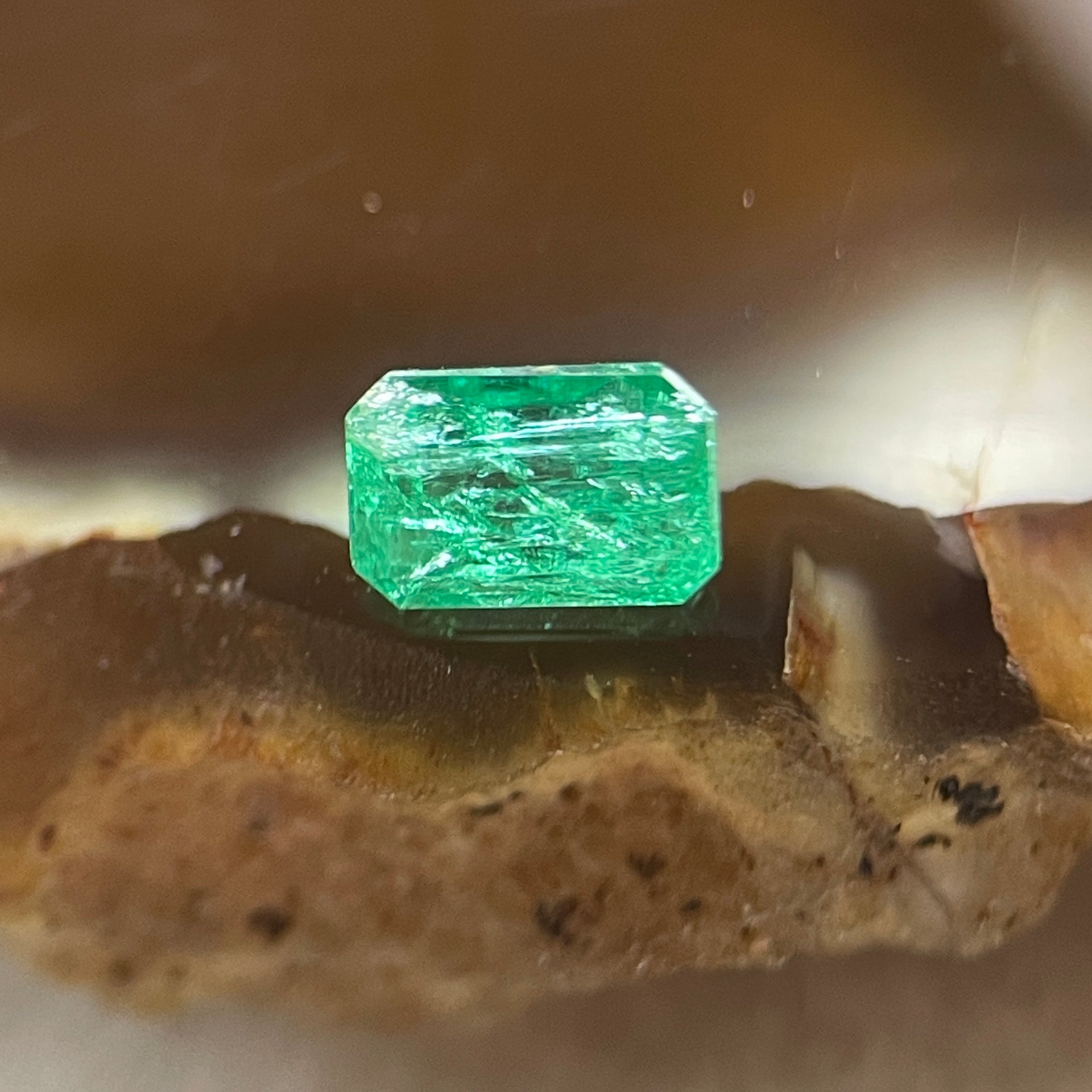 Natural Colombia Vivid Green Emerald (Beryl) Cut-Cornered Rectangular Step cut 0.41ct 5.0 by 3.6 by 2.9mm - Huangs Jadeite and Jewelry Pte Ltd