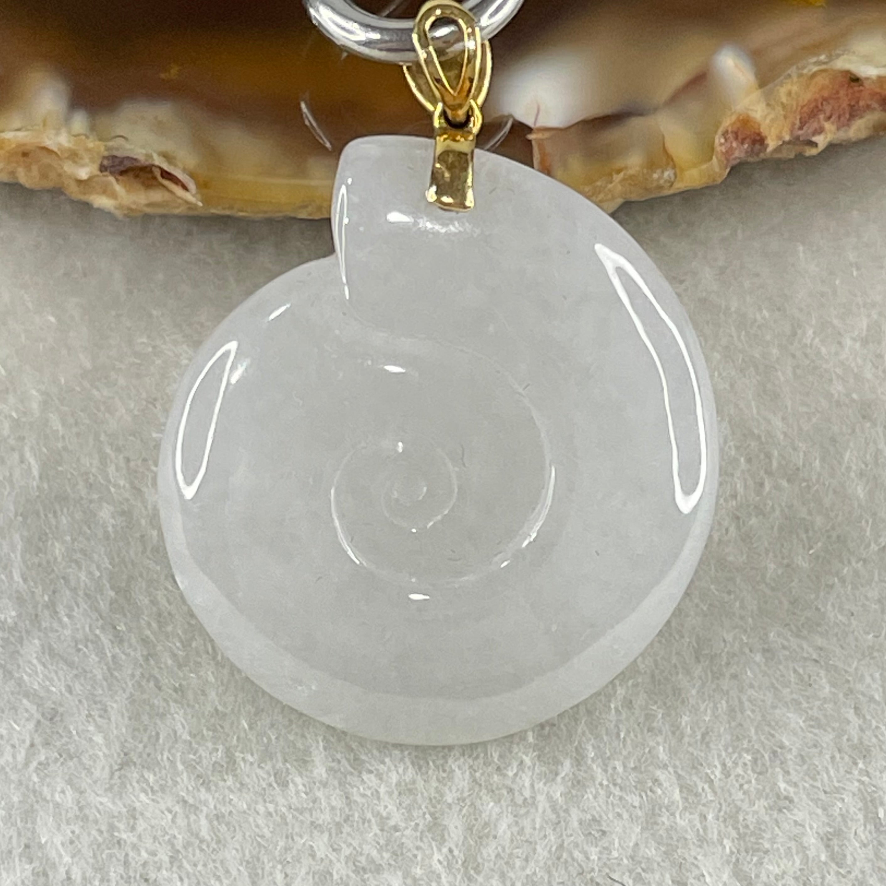 Ammonite Fossils & Jewelry Collection