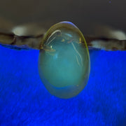 Natural Amber for Setting 1.63g 24.8 by 16.8 by 6.8mm - Huangs Jadeite and Jewelry Pte Ltd