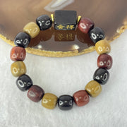 Natural Mixed Color Rose Wood Beads Bracelet 多宝珠小叶紫檀黑檀金丝楠手链 23.73g 18cm 12.1mm 16 Beads - Huangs Jadeite and Jewelry Pte Ltd