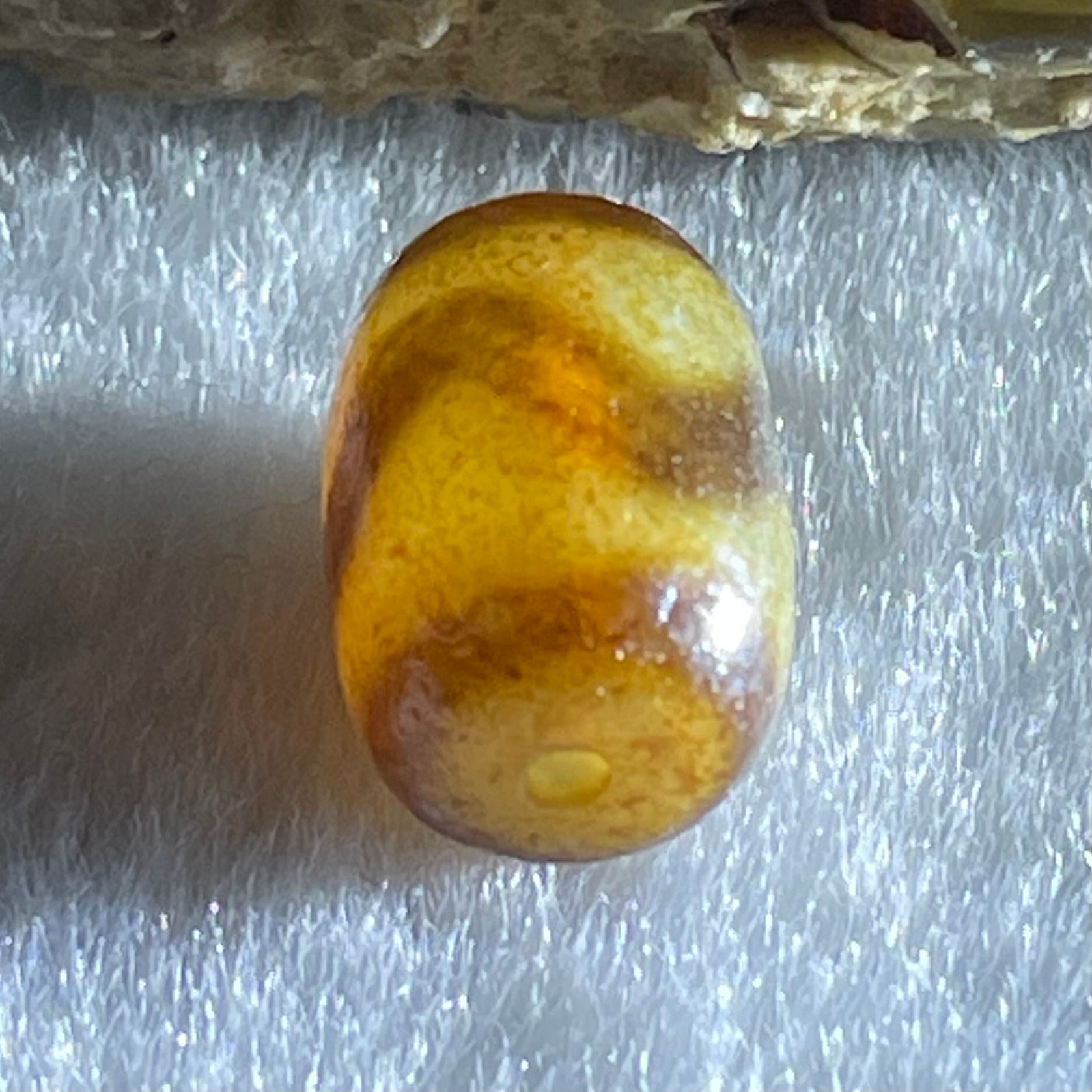 Natural Powerful Tibetan Old Oily Agate Tiger Tooth Daluo Dzi Bead Heavenly Master (Tian Zhu) 1.54g 12.1 by 8.7mm - Huangs Jadeite and Jewelry Pte Ltd