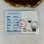 Type A Translucent Black Omphasite Jadeite with Crystals in S925 Sliver Ring (Adjustable Size) 2.00g 11.1 by 6.1 by 3.0mm - Huangs Jadeite and Jewelry Pte Ltd