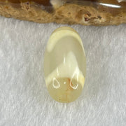 Natural Powerful Tibetan Old Oily Agate Tiger Tooth Daluo Dzi Bead Heavenly Master (Tian Zhu) 虎呀天诛 2.91g 20.1 by 10.2mm - Huangs Jadeite and Jewelry Pte Ltd